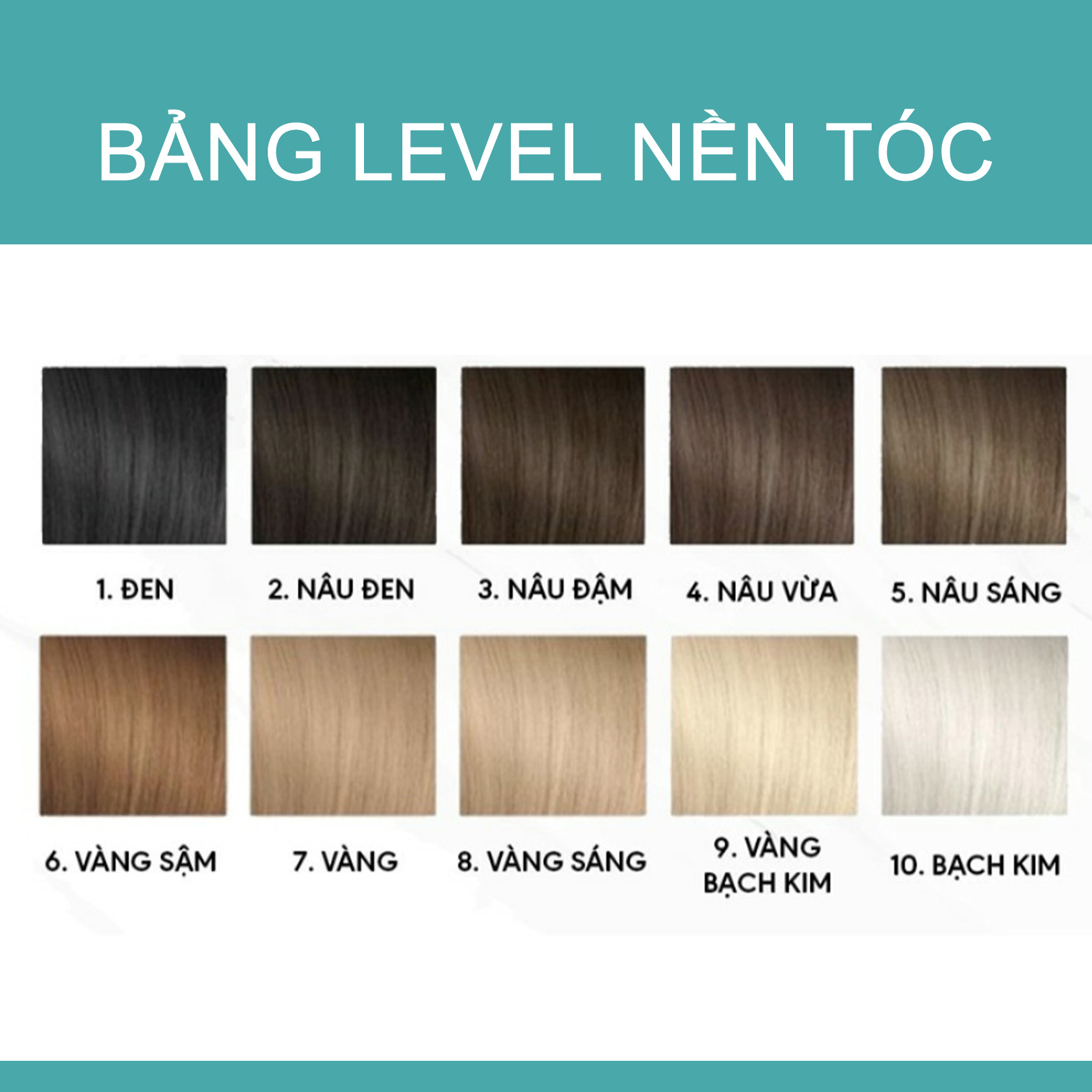 Tìm hiểu bảng màu nhuộm tóc đầy đủ và chi tiết nhất