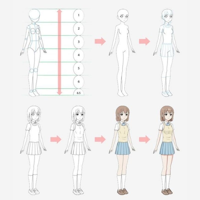 Học tập cách vẽ tỉ lệ cơ thể người anime cho người mới bắt đầu